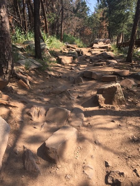 The climb up is relentlessly rocky. There are no smooth lines. On the other hand, if you can pop your wheel up and over rocks, you should have no trouble with it. Always challenging, always doable.