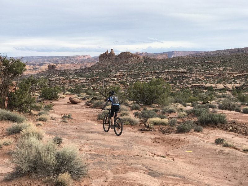 Navajo Rocks Loop Navajo Rocks loop. One of the best trails in Moab!