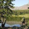 Looking for fish in Emerald Lake