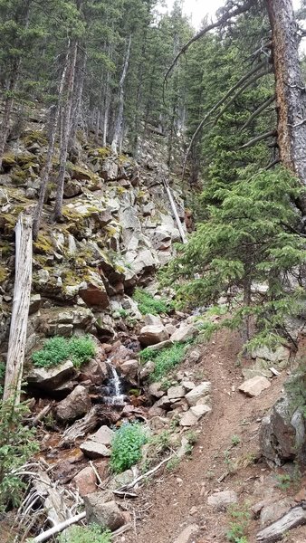 Looking back up the trail.