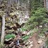 Looking back up the trail.