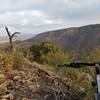 Overlooking temple Canyon. From the top of The Great Escape.