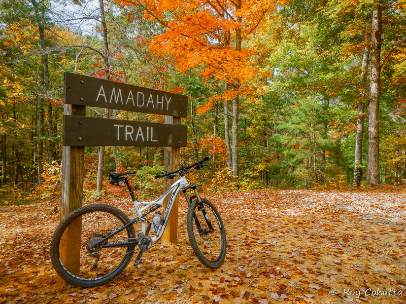 Scenic Fall Colors at Amadahy