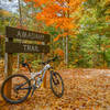 Scenic Fall Colors at Amadahy