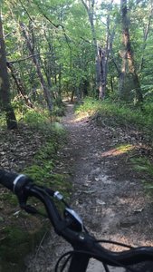 Just riding