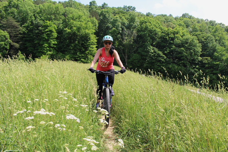 Bloom Trail at Crooked Creek