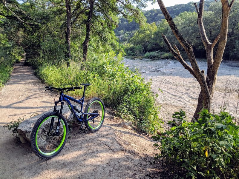 I was surprised to see how dry the creek was. A few weeks ago the water was gushing through here.