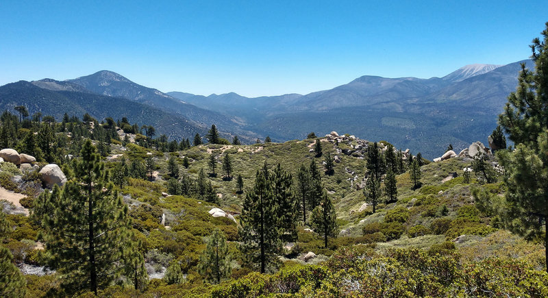 So Cal high-country beauty!