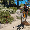 Hucks galore on Skyline Trail!