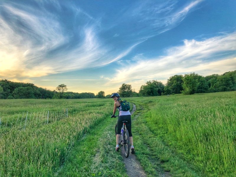 Beautiful views from the fields in Rock Meadow