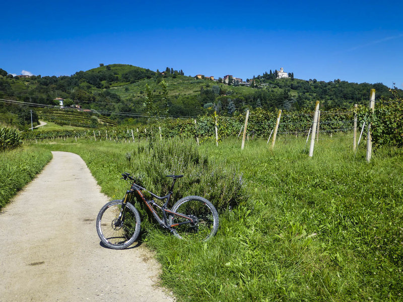 Typical Italian vineyard and villa