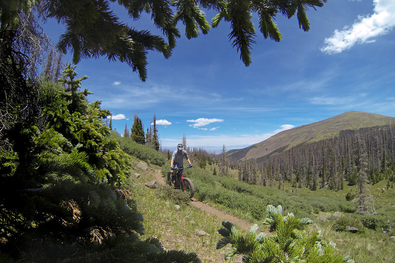 Climbing up the Middle Frisco Trail