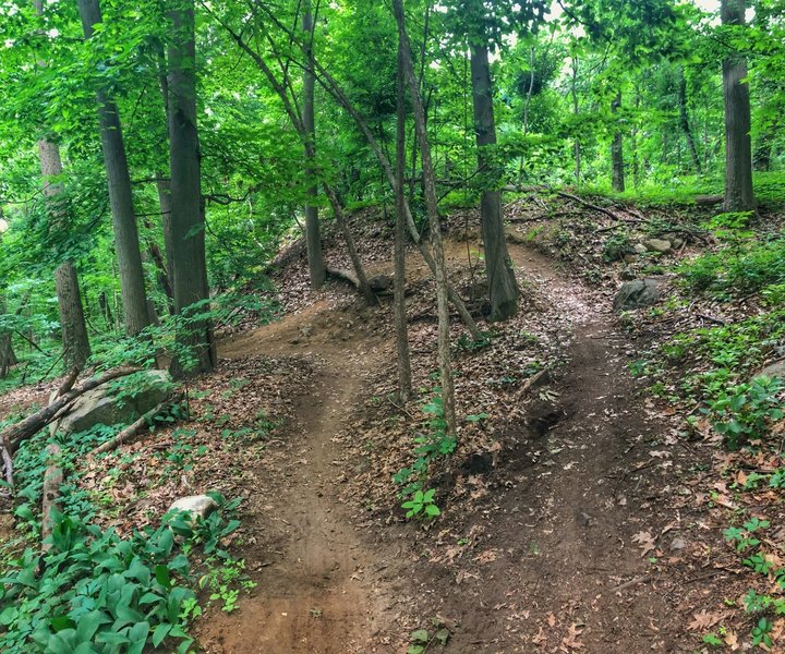 Fun turn that plays with landscape at the top of that coal road downhill. I have yet to launch the top section!