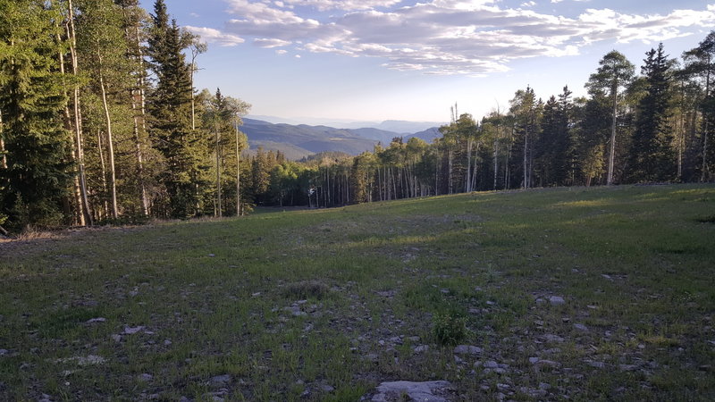 View from trail