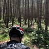 Through the pine trees on the Nicolet Roche Trail on our tandem 6 24 2018