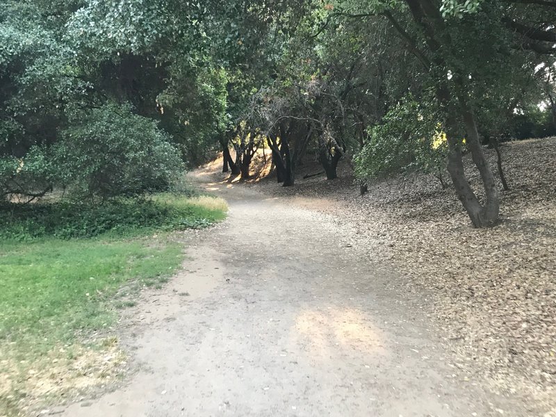 Dirt trail around Wilderness Area