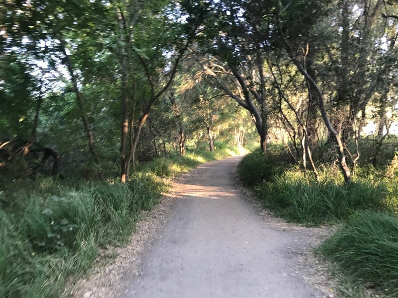 Dirt trail around Wilderness Area