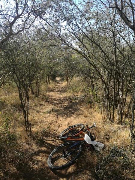 Completed track after clearing. Now for some marking.