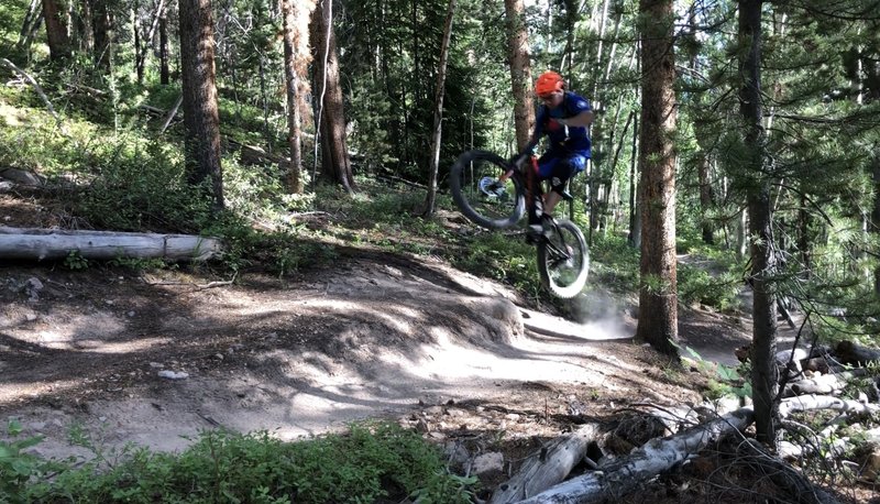 Small little step out of a corner over a rock descending this fun section of trail!