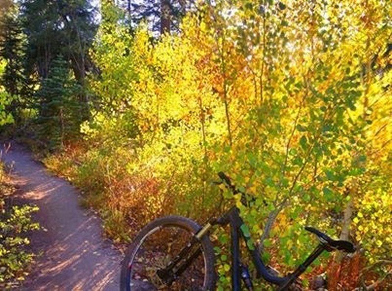 Great fall riding on the Incline Flume