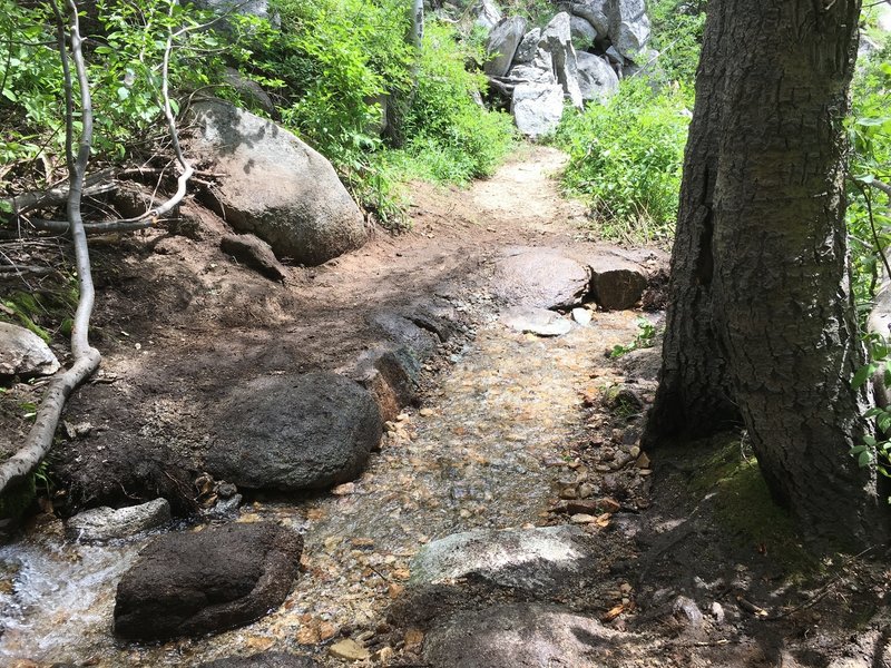 One of several stream crossings on the Incline Flume