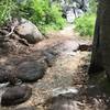 One of several stream crossings on the Incline Flume