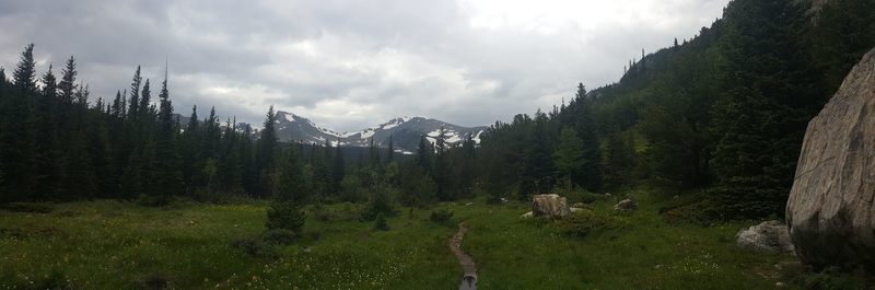 View from the Buchanan Pass Trail.