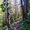 A relatively flat, rocky section of trail by the Peak 8 Super Connect Chairlift.