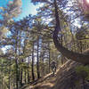 Narrow Rainbow trail just before Sandy Wash