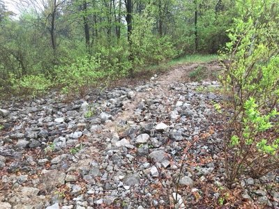 Rockfield at Settlers Park