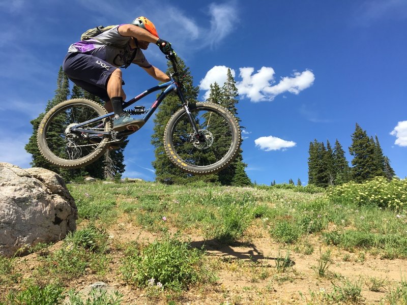 Spectacular trail - has a little bit of everything! Small drops (like this one) and doubles (mostly optional), big drop options, rock rolls, wall rides, and flow. Hats off to the trail crews.