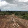 Rutted down hill with chunky rocks