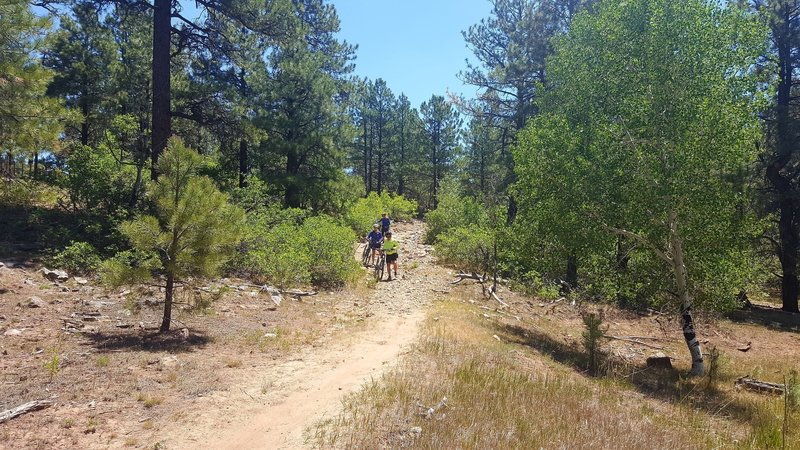 This part was a little too rocky for our group. Great trails.