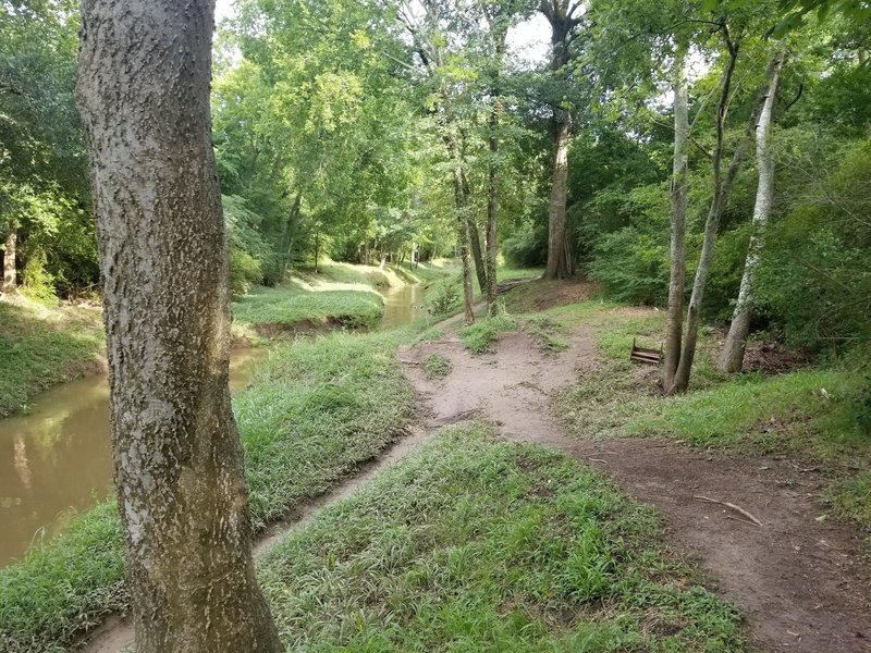 West-side bayou trail going south