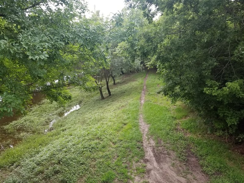 East-side bayou trail going north