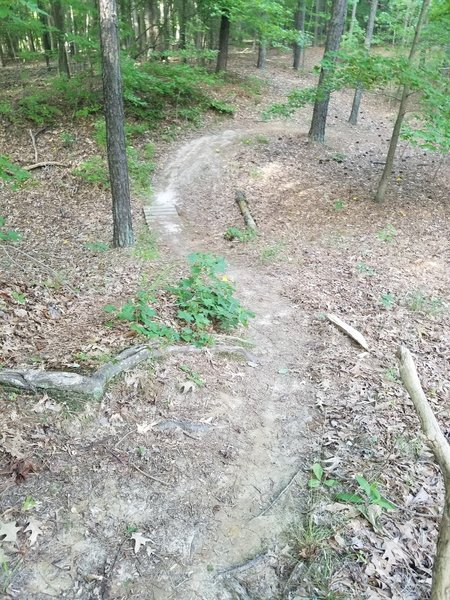 Loop C Trail