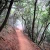 Mount Umunhum Trail in a cloud rolling over the mountain.