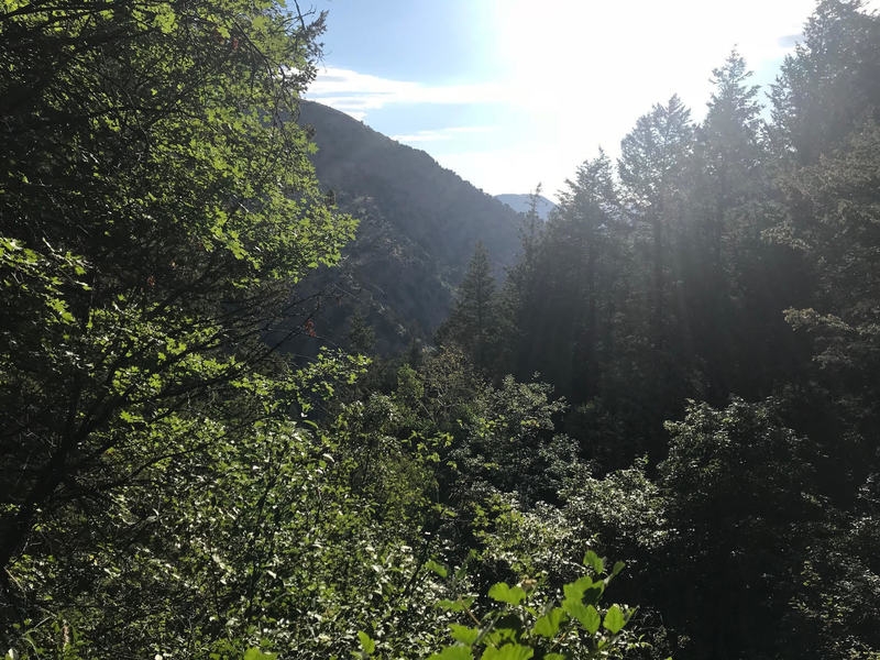 The view down the canyon on Leatham's Hollow Trail