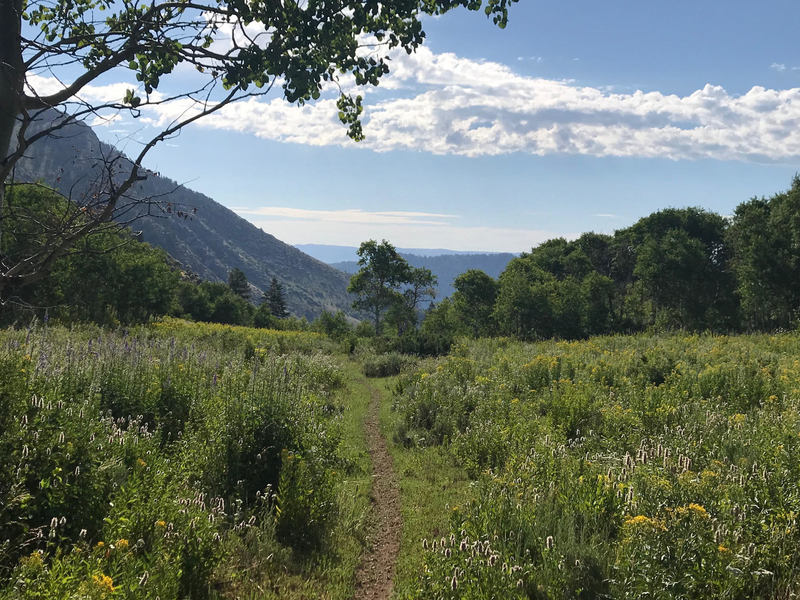 View from the top of Leatham's Hollow Trail