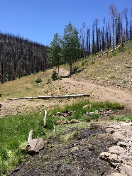 creek crossing