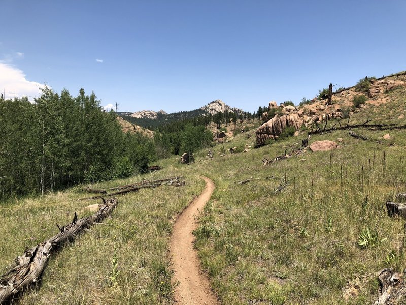 Looking down the small valley towards what I think is Baldy Peak.