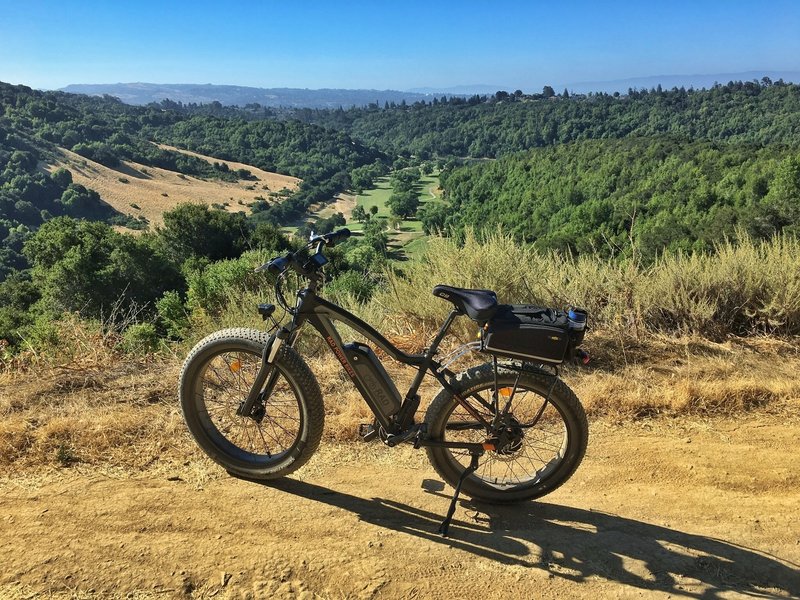 Overlooking Redwood Canyon