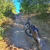 Singletrack