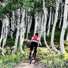 Entering the Aspens