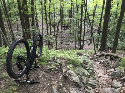 Mountain Bike Trails near Bear Mountain State Park