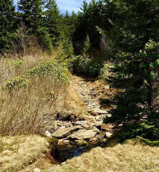 Rock Garden