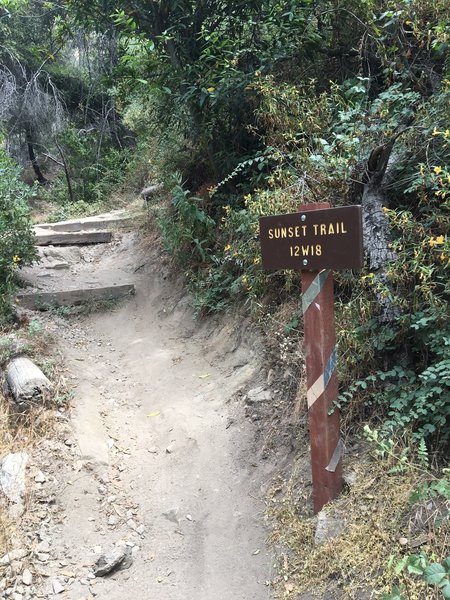 Bottom of the first section of singletrack descent on Sunset Ridge Trail