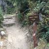 Bottom of the first section of singletrack descent on Sunset Ridge Trail