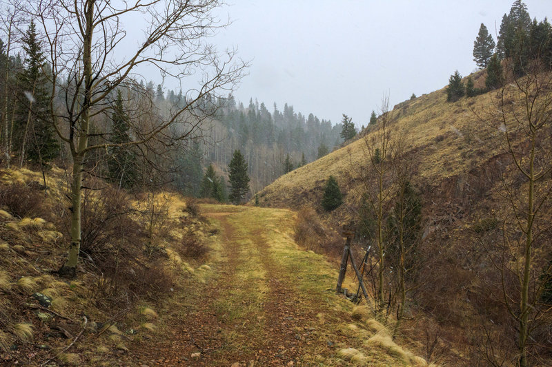 Placer Creek Canyon