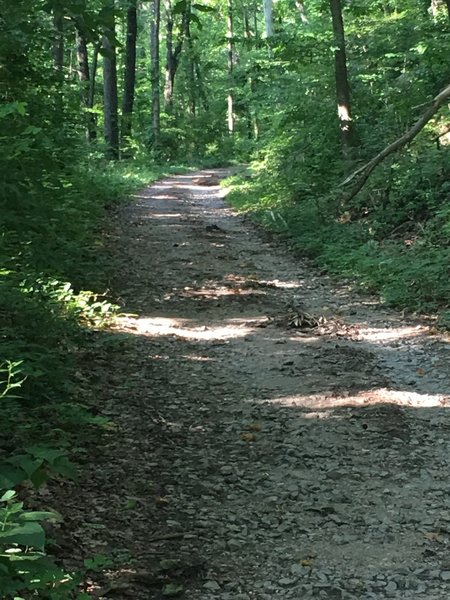 Mostly doubletrack gravel trail